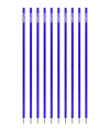 Cawila Academy Slalomstangen 170cm im 10er Set | 33mmx170cm | Blau