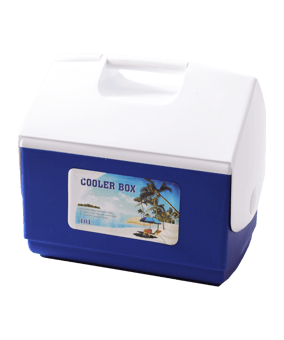 Cawila LIGA SportsCARE Icebox 10 Liter | hochwertige Eisbox | Kühlbox schwarz