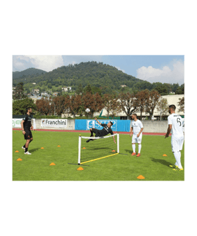 Cawila Fußball-Tennisset Naturrasen mit Eisenfüßen 300x80cm